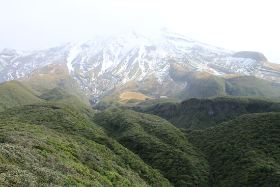 Die hellgrüne Fläche ist das großräumige Skigebiet hier!