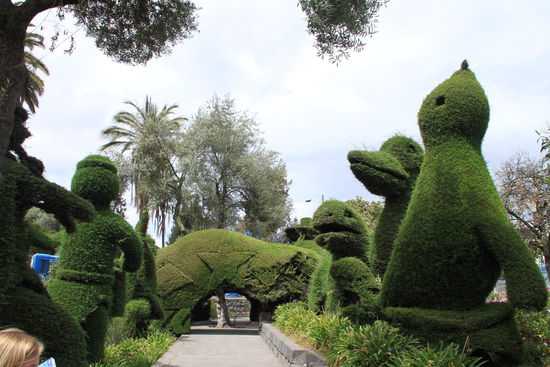 In einem Park in Ambato - ist das nicht cool?!