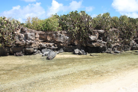 Auf der Insel Genovesa