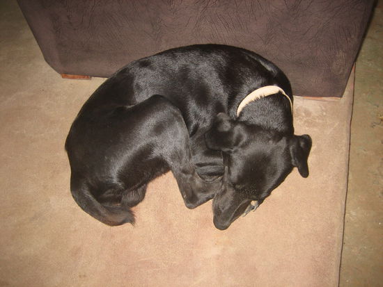 So "spannend" war der Spanischunterricht für Freak...