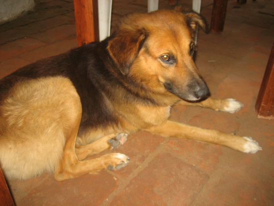 Mojo war da schon interessierter 