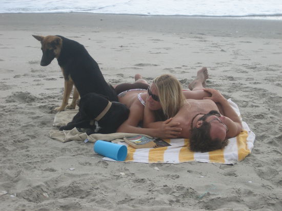 Auch die Hunde genossen das Sonnenbad