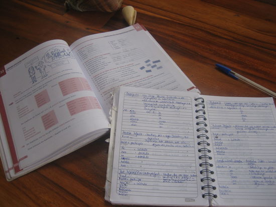 Das sieht nicht nur nach harter Arbeit aus...