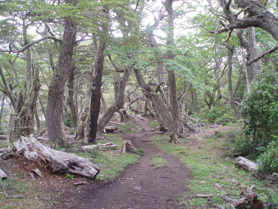 korriger Wals in Ushuaia