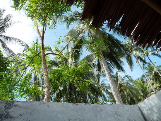Ausblick von der Toilette 