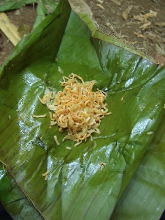 Und liebe Jewels: Dies sind keine Wuermer *g* sondern mein Mittagsessen im Dschungel. Fried Noodles eingewickelt in einem Banana Leaf!