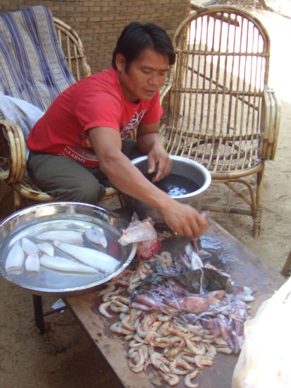 Calamari, Tiger Prawns, King Prawns Lieferung - soooo lecker und soooo frisch!