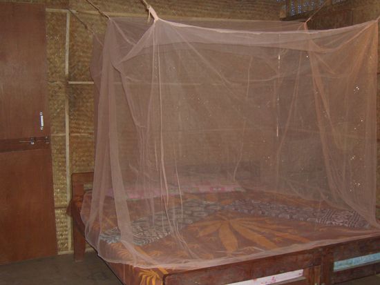 Riesige Betten mit Moskitonetz und superbequemen Matratzen und natuerlich FRISCHER Bettwaesche!