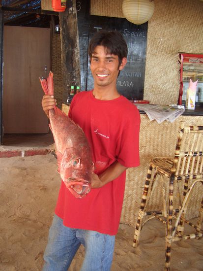 Mein Kellner AP (mit einem grossen Red Snapper), den ich Mitte Dezember an Mohan abgab, also den Kellner, nicht den Red Snapper *g*. Seine bescheuerte Business Partnerin schaffte es doch tatsaechlich als Mohan mal 15min nicht in der Bar war den Kellner zu verkraulen, dass dieser abhaute - ok, die Jungs sind zu ihrer Verteidigung sehr sensibel, auch ich machte die Erfahrung, wie schnell man die beleidigen konnte - ups! Auf alle Faelle war ich dann so gut wie ohne Kellner, naja es gab da noch so einen anderen der meist in der Bar herumhing, aber nicht wirklich viel machte... aber was soll ich tun, Mohans Bar ist doppelt so gross wie meine und da ich nicht mitansehen konnte wie sich mein Schatz total auspowert (wollte ja doch noch was von ihm haben, wenn wir uns so gegen 3 oder 4 Uhr morgens sahen...). Nur dass ich dann eigentlich alleine war und teilweise nicht mal mehr Zeit fand um zu duschen (ja ich weiss, dass ist ecklig!)und es echt superstressig wurde, max. 4 Stunden Schlaf pro Tag, die restlich Zeit war ich in der Bar - nonstop, aber habe ich eigentlich schon erwaehnt, dass dies der geilste Job war, den ich je machte - war immerhin mein eigener Boss!