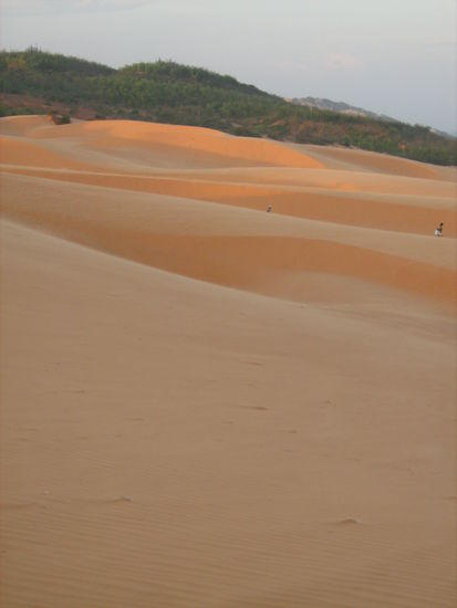 In einer Wüste sollte man alleine sein. So sieht das schon besser aus.