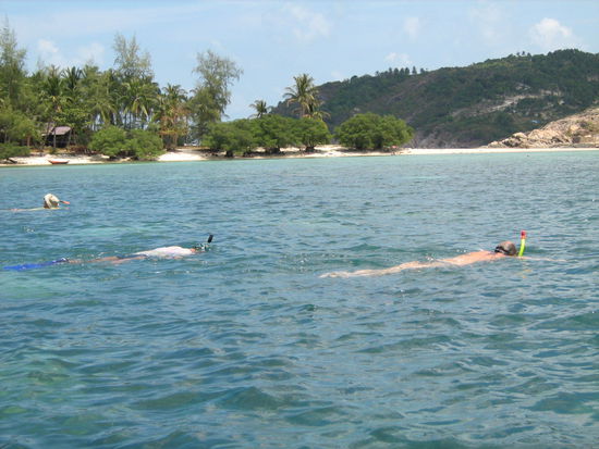 Viel zu sehen war leider nicht, da das Meer sehr unruhig war