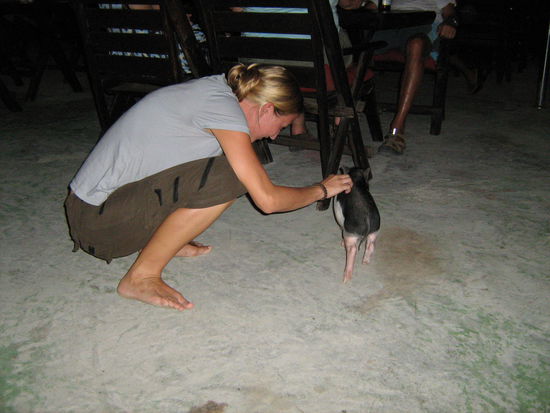 Aus diesem Grund habe ich mich Tollwut impfen lassen - ich kann mich von keinem Schweinkale fernhalten 