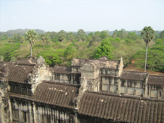 Bis zum Horizont alles Ankor Wat Gelände. Glücklicherweise kann man dies mit Motorrad, Fahrrad, TukTuk etc. durchqueren.