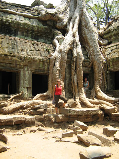 Tomb Raider Sandra - ja das ist der Baum aus dem Film (wir haben ihn lange gesucht, da dieser Tempel ein kleines Labyrinth ist)