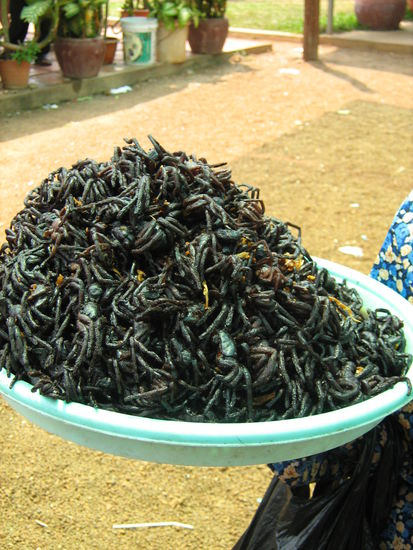... hier gegrillt. Die Lebendigen habe ich ja noch ohne zögern angegriffen, aber die hier zu verspeisen - nein danke!