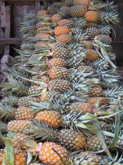 Oder verkaufen Dinge wie Ananas - hmm, lecker. Man bleibt einfach mit seinem eigenen Boot bei so einem Ananans Boot stehen und bekommt diese ganz frisch serviert.