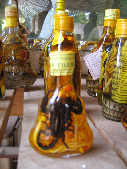 Potenzmittel - Skorpionsschnaps - haben wir glücklicherweise nicht nötig.