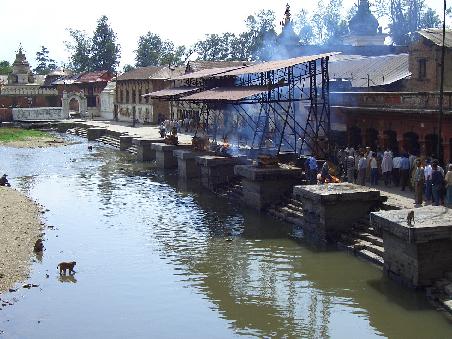Pashupatinath Tempel - zu sehen sind die burning places und monkeys!