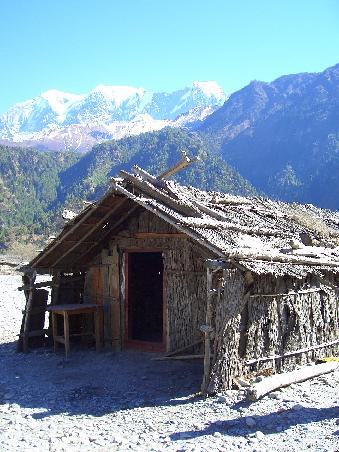 Und manche Menschen wohnen hier noch ziemlich einfach. Dies ist ein Haus mitten im Kali Gandaki Flussbett. Wenn der Monsum kommt, muessen sie raus aus dem Haus, da es weggeschwemmt wird. (Im Hintergrund Nilgiri Range)