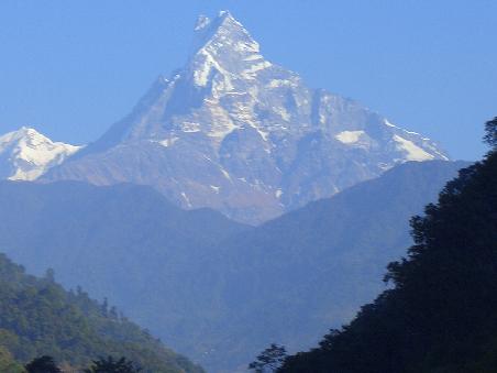 Fishtail oder besser gesagt Machhapuchhare (6997m), der heilige Berg der nicht bestiegen werden darf (nur das Base Camp auf 3700m)
