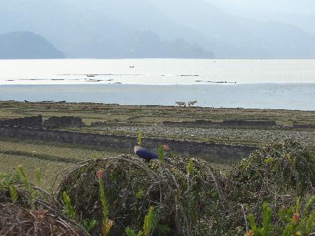 Pokhara und der Fewa Lake hat mich wieder!
