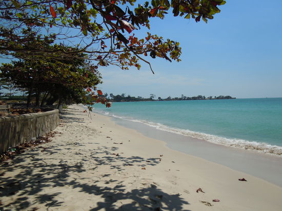 Einer, der vielen Strände