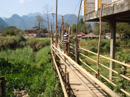 Klaus auf einer Dschungel-Brücke
