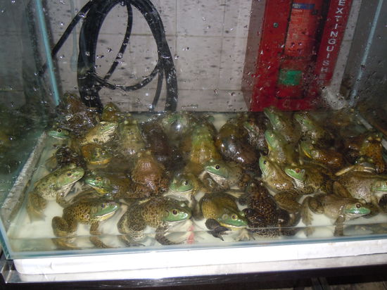 Sieht nicht gut aus für die Jungs... und Mädchen(?)