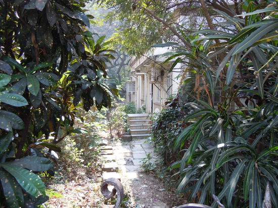 Der Garten müsste mal gemacht werden, oder auch nicht.