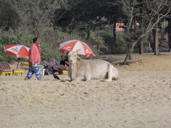Sie stört es nicht!