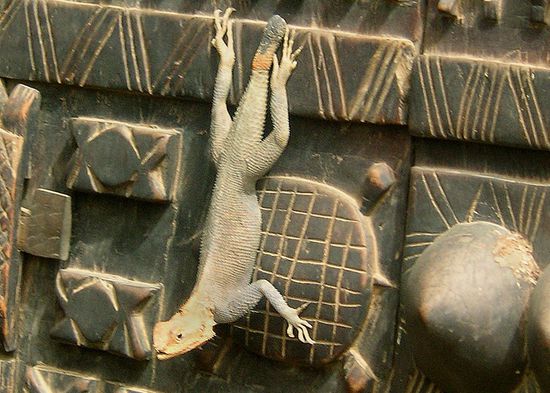Die Agame an der Dogontüre in Djenné