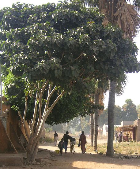 "meine Strasse" in Koutiala
