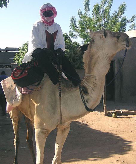 ein unbekannter Reiter