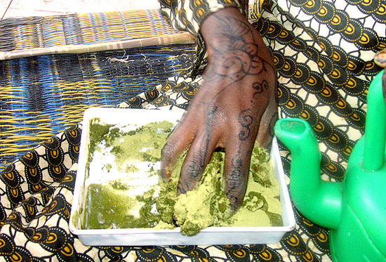 Die Hennapaste wird mit Wasser und zwei Tropfen Oel angerührt