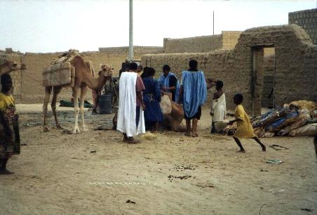 Entladen der Azalaï-Salzkarawane aus Taeoudeni, resp. eines Teils davon,im Quartier Abaradjou von Timbuktu.