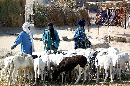 Alltagszene in Timbuktu beim Markt Billibangu