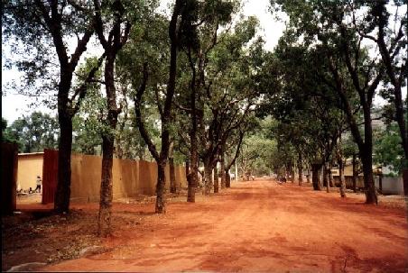 Allee in Bamako direkt neben dem Nationalmuseum