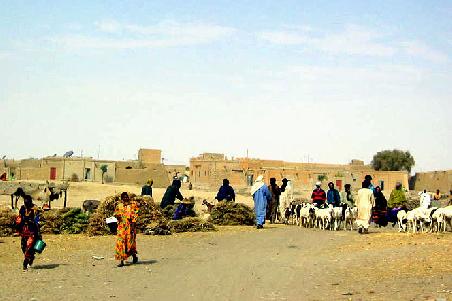 Beim Mar Billibangu, Timbuktu