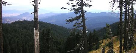 Aussicht vom Pacific Crest Trail, OR