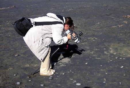 Verrückte Photografen - dies ist auf einem Felsen im Meer!!!