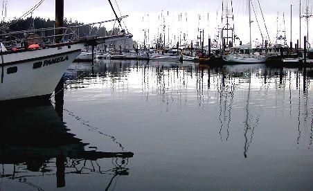 Silber - Hafen am Pazifik - Oregon