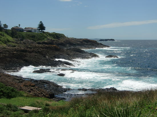 Wilde Klippen saeumen die Ostkueste Australiens an dieser Stelle zum Pazifik.