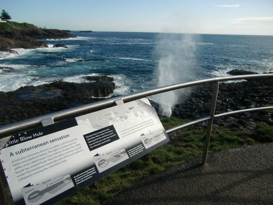 In Kiama gibt es auch noch ein grosses Blow Hole, hier ist das kleine zu sehen.