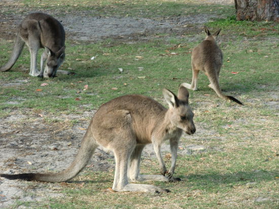 Das war unser morgendlicher Blick aus dem Zelt.