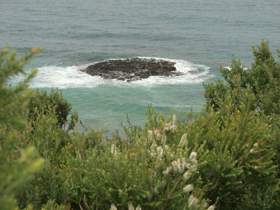 Immer wieder begeistern uns die Aussichten vom Lookout.