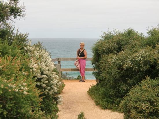 Suse an der Steilkueste.