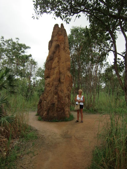 Meterhohe Termitenhuegel im Naturschutzpark Litchfield.