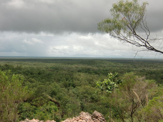 Blick in das weite Land. Der Regenwald geht in Waldland und dann in Buschland ueber. Spaeter folgt das Outback.