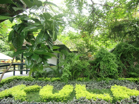 Besuch im Vogelpark Kula.