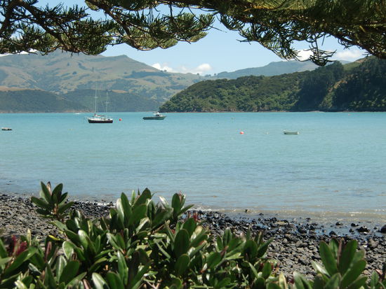 Die Bucht von Akaroa auf der Halbinsel Banks.
